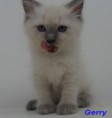 /album/fotogalerie-gerry-od-2-mesicu-vyse/sam-8339-jpg/