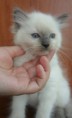 /album/fotogalerie-gino-od-2-mesicu-vyse/sam-8385-jpg/