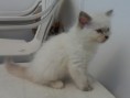 /album/gwen-2-mesice-a-vyse/sam-8459-jpg/