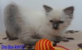 /album/fotogalerie-gino-od-2-mesicu-vyse/sam-8595-jpg/