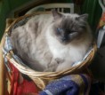 /album/gino-v-novem-domove/a20160604-112830-jpg/