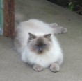 /album/gino-v-novem-domove/a20160605-091715-jpg/